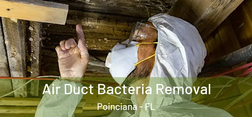 Air Duct Bacteria Removal Poinciana - FL