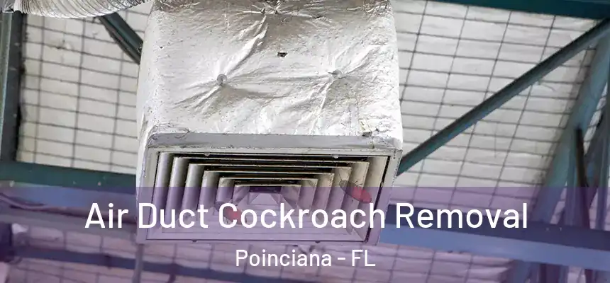  Air Duct Cockroach Removal Poinciana - FL