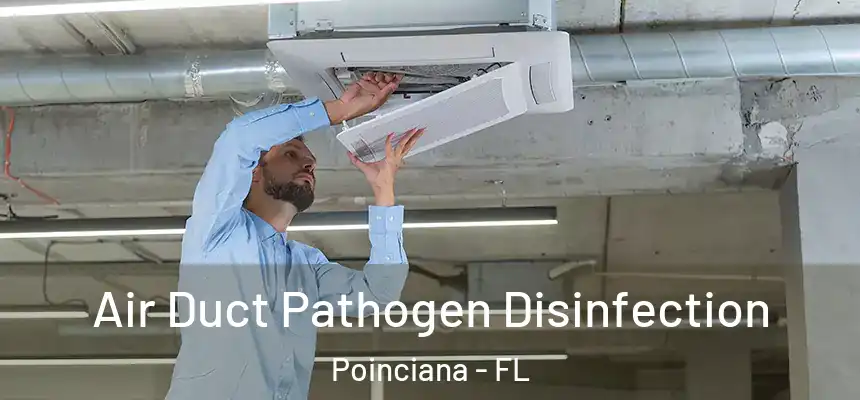 Air Duct Pathogen Disinfection Poinciana - FL