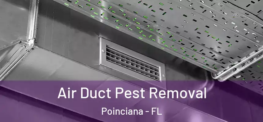 Air Duct Pest Removal Poinciana - FL