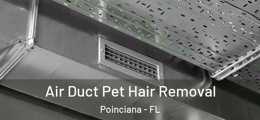Air Duct Pet Hair Removal Poinciana - FL
