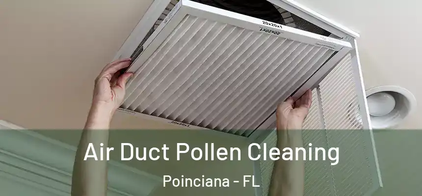 Air Duct Pollen Cleaning Poinciana - FL