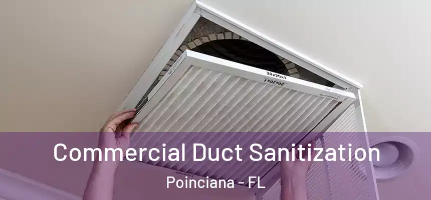 Commercial Duct Sanitization Poinciana - FL