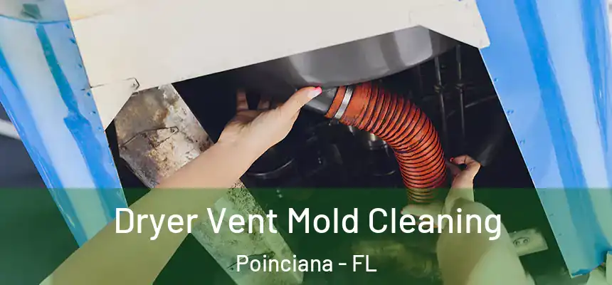 Dryer Vent Mold Cleaning Poinciana - FL