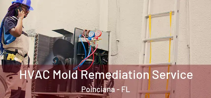 HVAC Mold Remediation Service Poinciana - FL