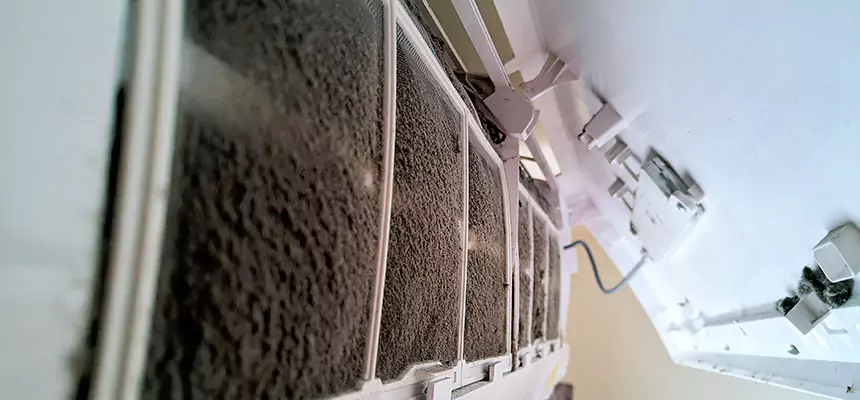 Preventive Air Duct Bacteria Removal in Poinciana