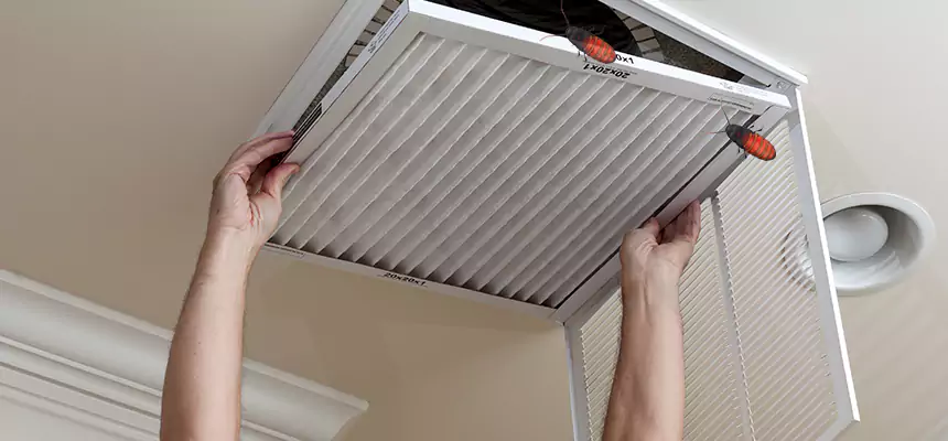 Preventive Cockroach-Proofing for Ducts in Poinciana