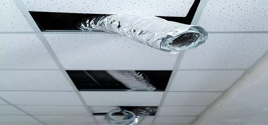 Affordable HVAC Sanitizing After Pest Removal in Poinciana