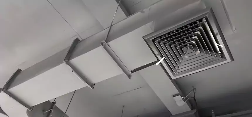 Restorative Allergy Relief Vent Cleaning – Coil, Blower & Housing Detail in Poinciana