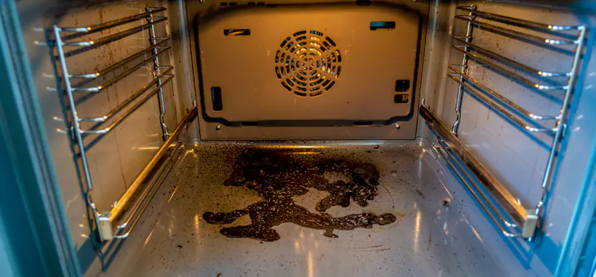 Our Dryer Vent Mold Cleaning Services in Poinciana, FL