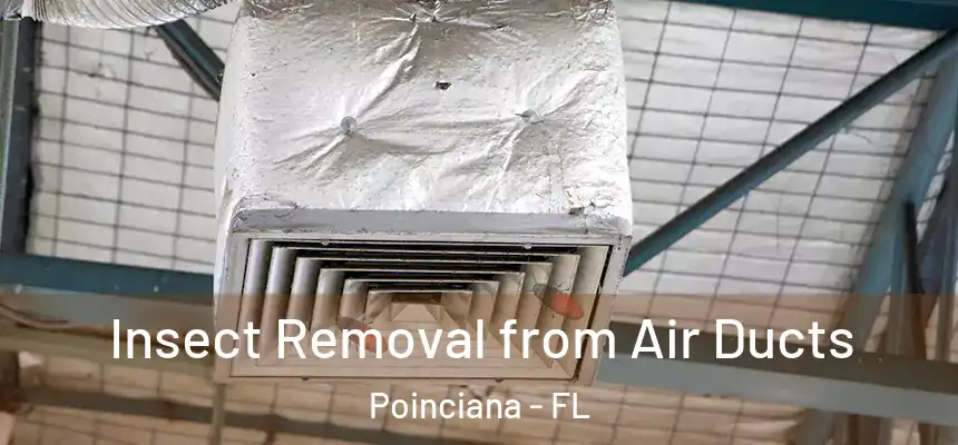 Insect Removal from Air Ducts Poinciana - FL