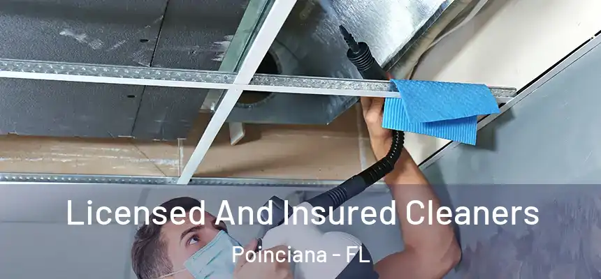 Licensed And Insured Cleaners Poinciana - FL