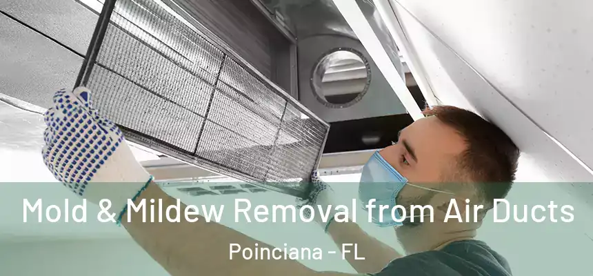 Mold & Mildew Removal from Air Ducts Poinciana - FL