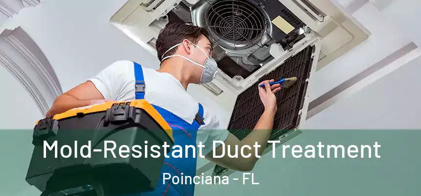 Mold-Resistant Duct Treatment Poinciana - FL