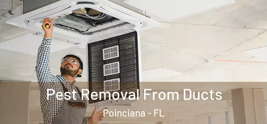 Pest Removal From Ducts Poinciana - FL