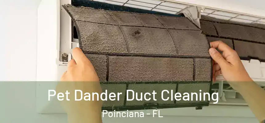  Pet Dander Duct Cleaning Poinciana - FL
