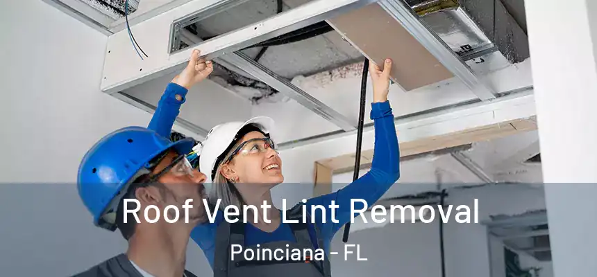 Roof Vent Lint Removal Poinciana - FL