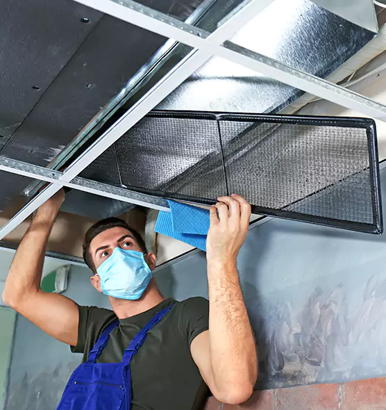About Air Duct Bacteria Removal in Poinciana