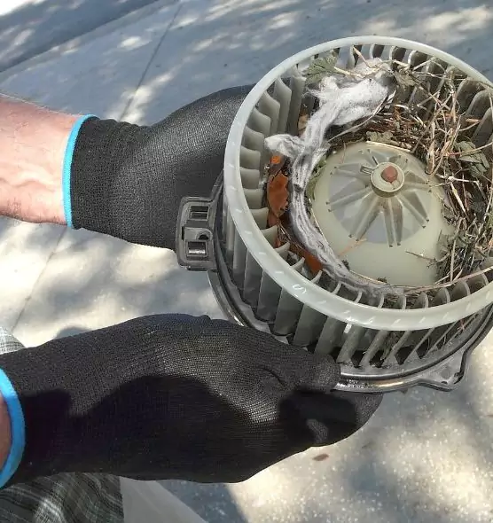 About Air Duct Mice Removal in Poinciana, FL