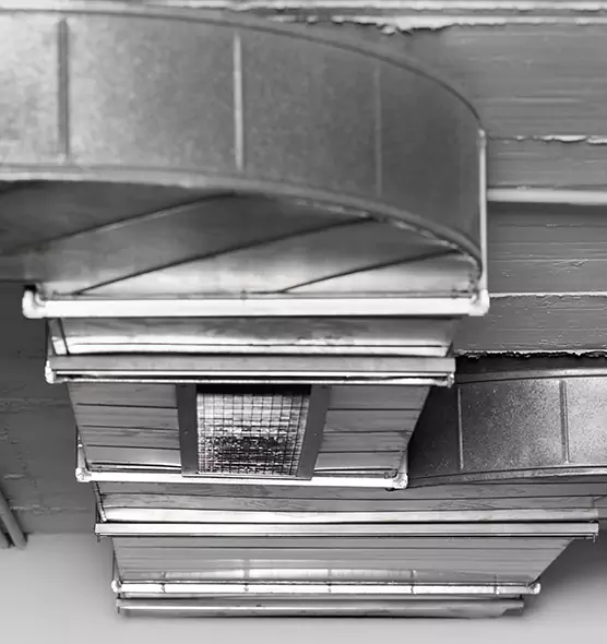 Professional Air Duct Pest Removal in Poinciana, FL