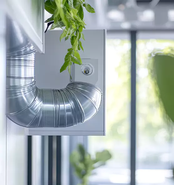 Professional Eco-Safe Dryer Vent Cleaning in Poinciana, FL