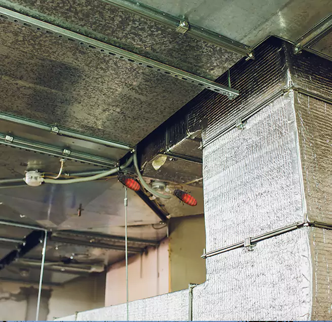 Why Homeowners & Businesses Trust Us in Poinciana, FL?