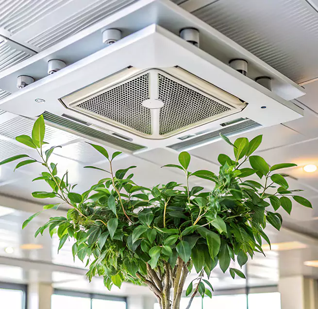 Why Homeowners & Businesses Trust Us in Poinciana, FL?